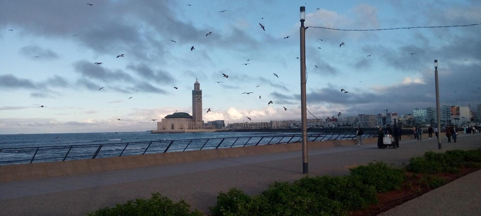 Moroccan Teguemi Casablanca Exterior photo
